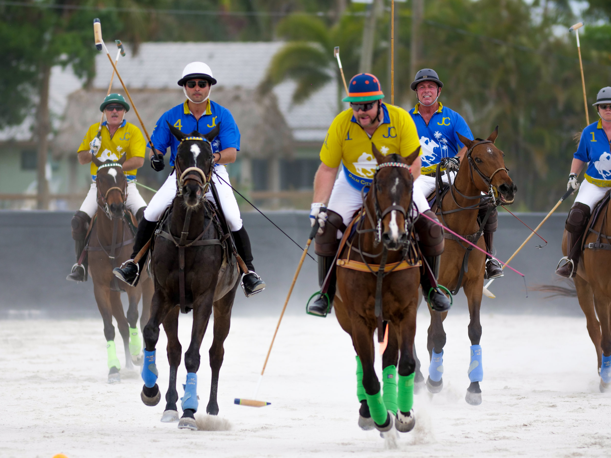 A Polo School team riding on the backs of brown horses.